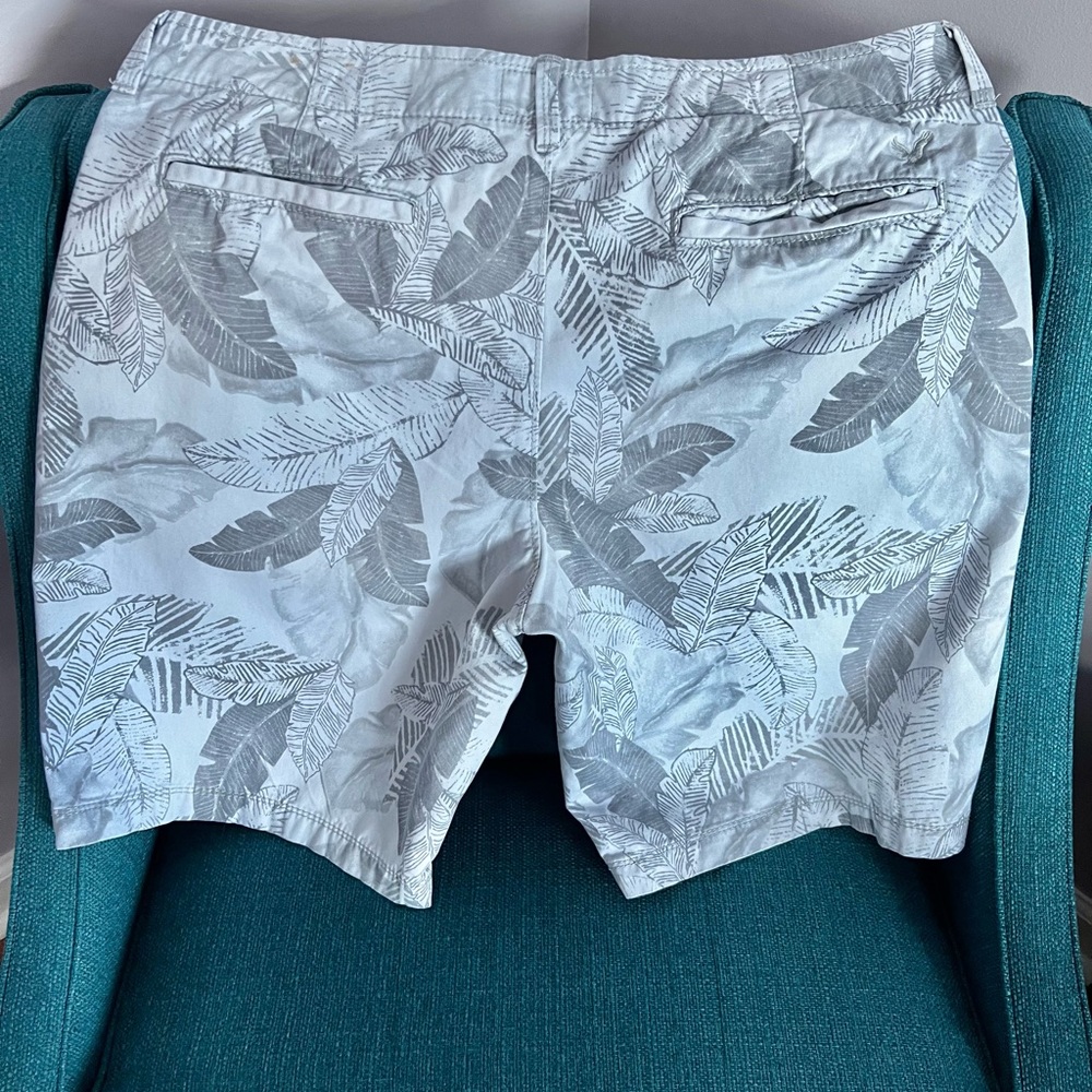 American Eagle 🦅 Men’s shorts 🩳 - Picture 2 of 5